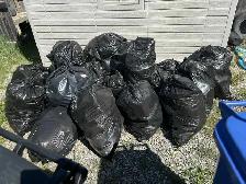 Decluttering/ Organizing/ Junk Removal - Photo 3