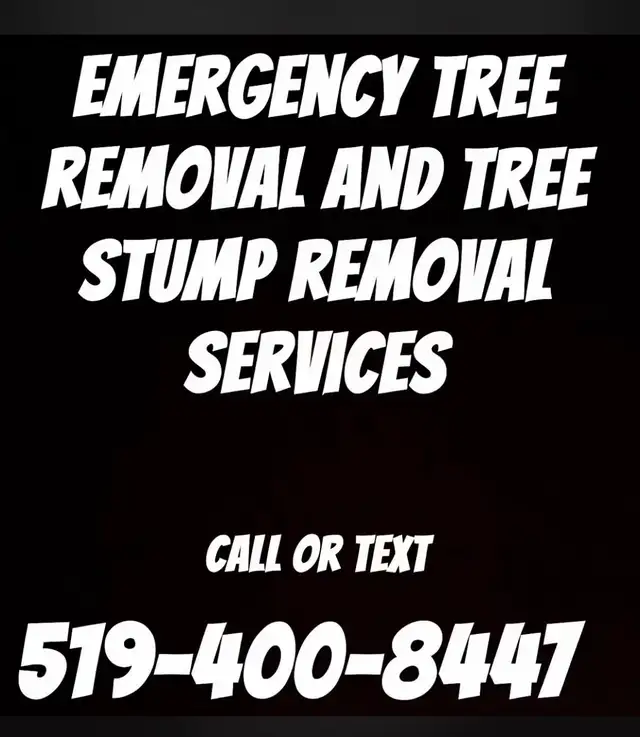 emergency services