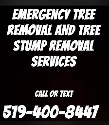 emergency services