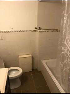 Private room in Walkout Basement @ Square One - Photo 5