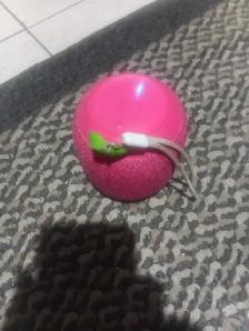 Wonderboom portable speaker - Photo 3