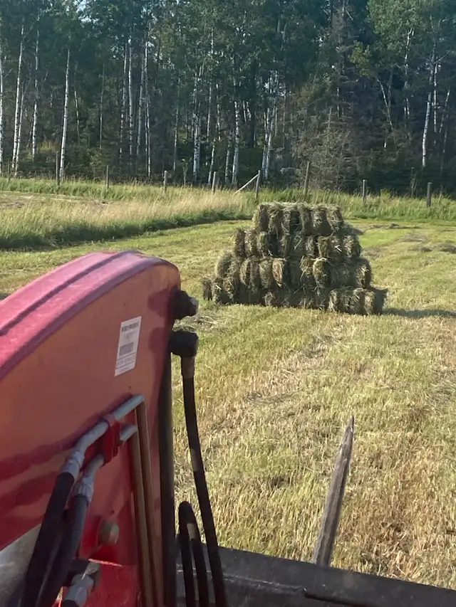 Square Bales of Hay
