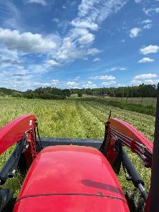 Square Bales of Hay - Photo 3