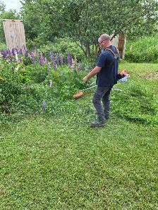 FS 131 Stihl weed wacker