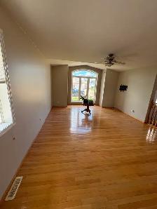 4209 46 Street ~ Vegreville - Photo 4