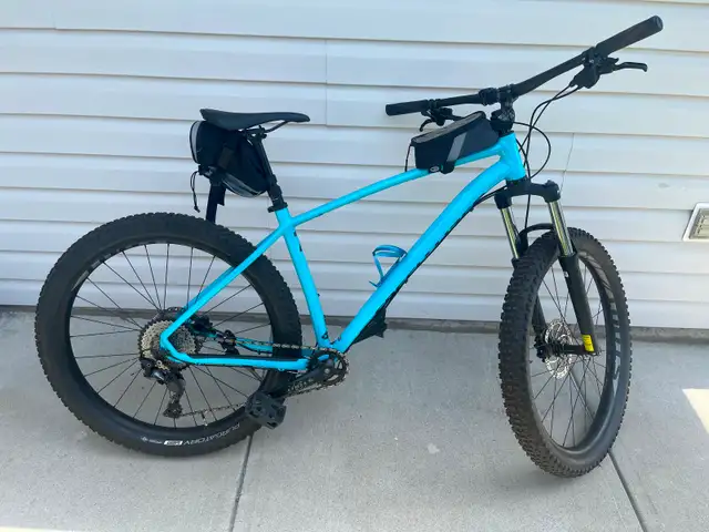 Adult Bikes