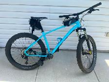 Adult Bikes