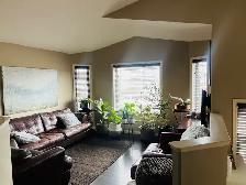 Shared Adult Home - Clean & Quiet - Photo 6