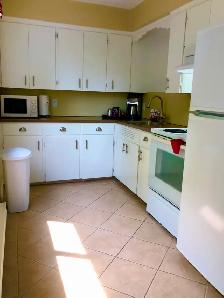 Furnished Heat Lights Internet Downtown  Apt. Aug1 ! - Photo 4