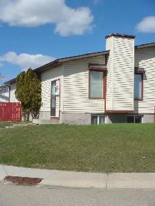 ALL NEW RENO! LOCATION!Walk 2 LRT/grocry-2BR LEGAL Bsmt-B 1st 2 - Photo 2