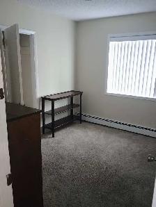 2 Bedroom Apartment for sublet - Photo 5