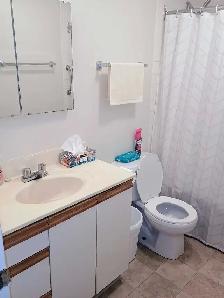 2 Bedroom Apartment for sublet - Photo 6