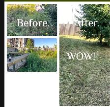 Pay Less Lawn Care - no fuss no muss - Photo 2
