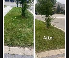 Pay Less Lawn Care - no fuss no muss - Photo 3