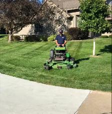Pay Less Lawn Care - no fuss no muss - Photo 6