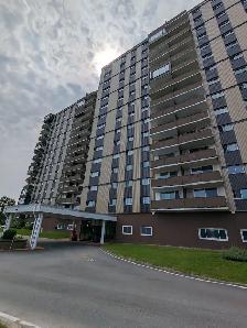 904 Brentwood Tower - 1BR Luxury Condo with Scenic View