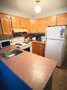 laval apartment - Photo 2