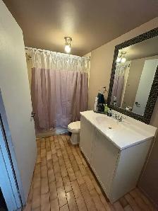 laval apartment - Photo 5
