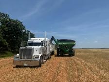 custom harvesting - Photo 2
