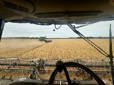 custom harvesting - Photo 5