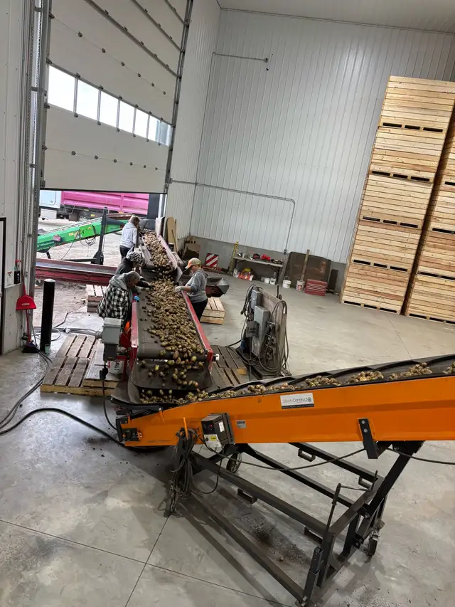 Employment Opportunity - Potato Harvest 2026