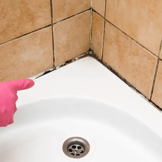 BLACK MOULD Grout Caulk STEAMCLEAN CAULK SILICONE