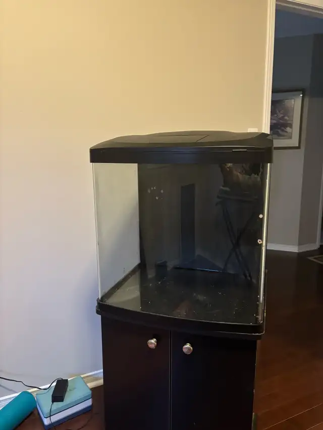 LED Bio Cube