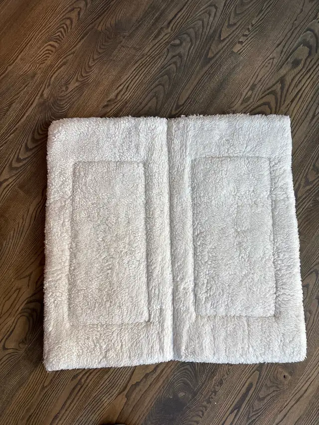 white saddle pad