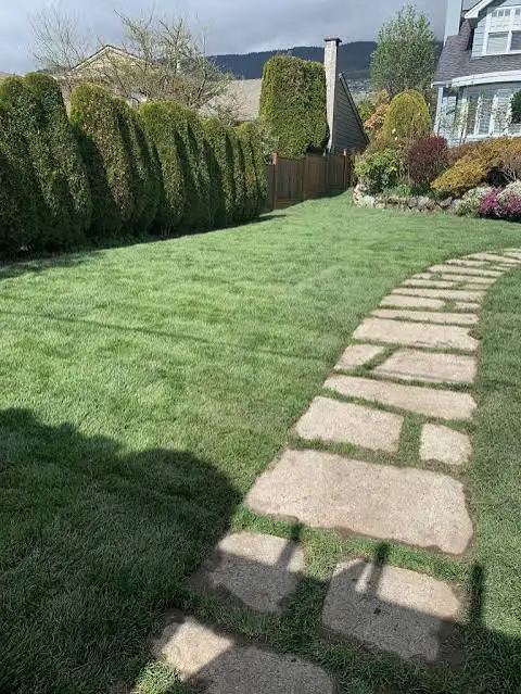 Cheepest landscaping sod installation book now