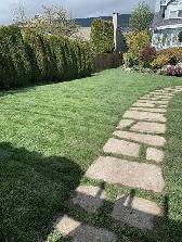 Cheepest landscaping sod installation book now