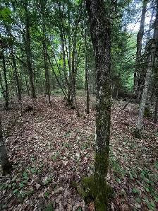 Terrain 7.5 acres bord de l’eau - Photo 2
