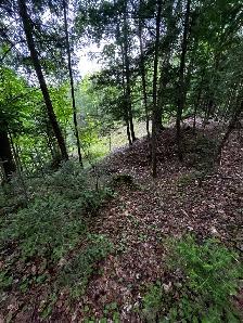 Terrain 7.5 acres bord de l’eau - Photo 3