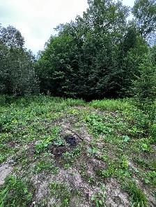 Terrain 7.5 acres bord de l’eau - Photo 6