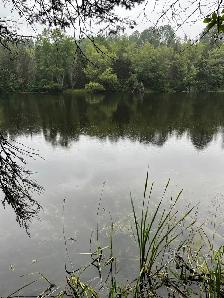 Terrain 7.5 acres bord de l’eau - Photo 8