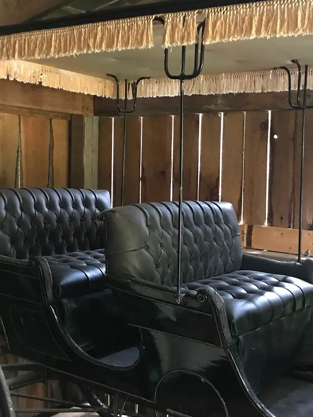 Restored Buggy