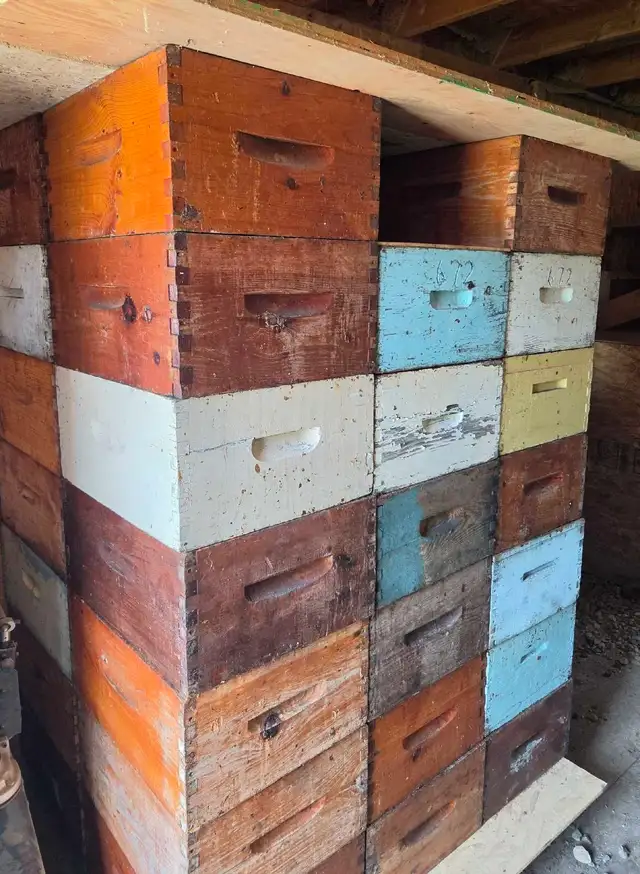 Bee hive deep super with 10 draw out frames