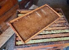 Bee hive deep super with 10 draw out frames - Photo 2