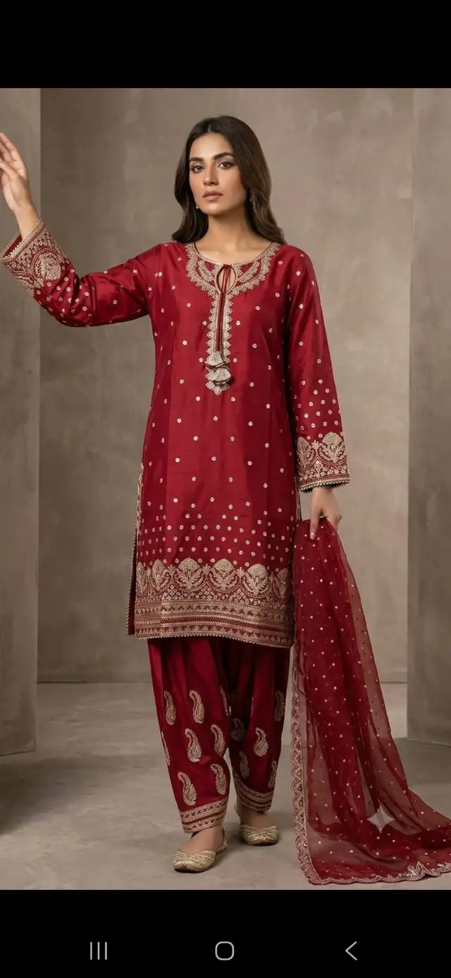 Brand New Pakistani Party Wear