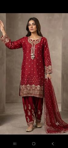 Brand New Pakistani Party Wear