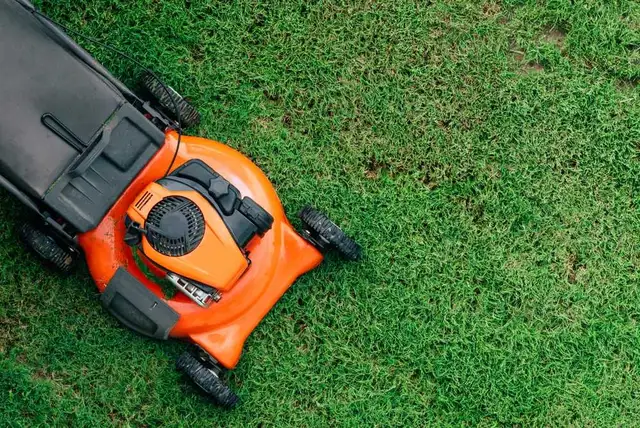 Professional Lawn Mowing – Barrhaven
