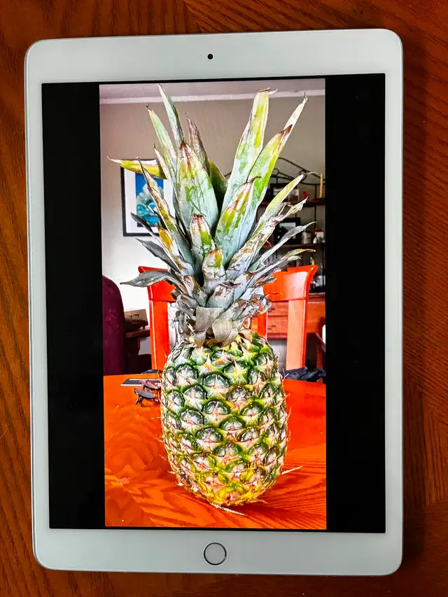 Apple iPad 8th GEN PRISTINE AND CHEAP!