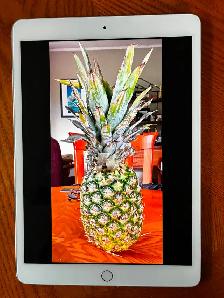 Apple iPad 8th GEN PRISTINE AND CHEAP!