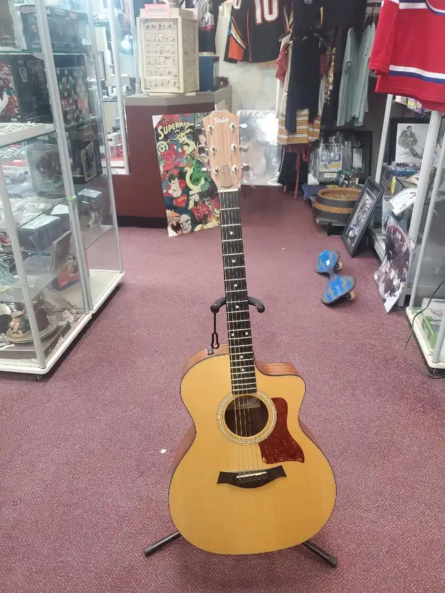 Taylor Acoustic Guitar with Soft Case