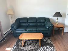 Furnished One BedRm. Suite, Non-Smoking, Eastside