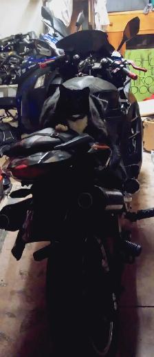 72v electric bike (fast) - Photo 2