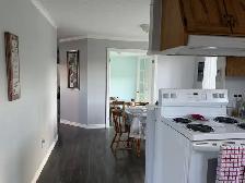 66 Main St, Carmanville - Photo 3