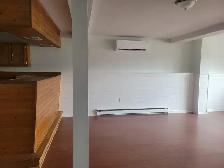 66 Main St, Carmanville - Photo 9