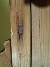 Belle armoire antique avec clous et chevilles carrés - Photo 10