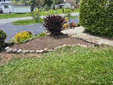 Garden care and lawn maintenance - Photo 2