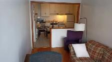 Plateau – Beau 3 ½ SEMI-MEUBLÉ et chauffé – 1100 $ – Libre!1 10 - Photo 4